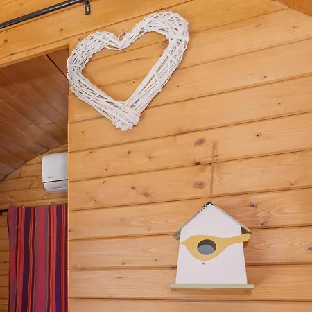 Barrel Violet Saint-André