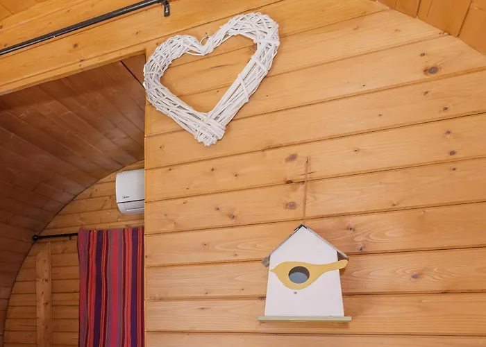 Barrel Violet Saint-André